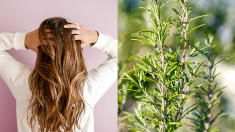 Romero para la Caída del Cabello: El Remedio Natural Más Efectivo para Fortalecer y Estimular el Crecimiento