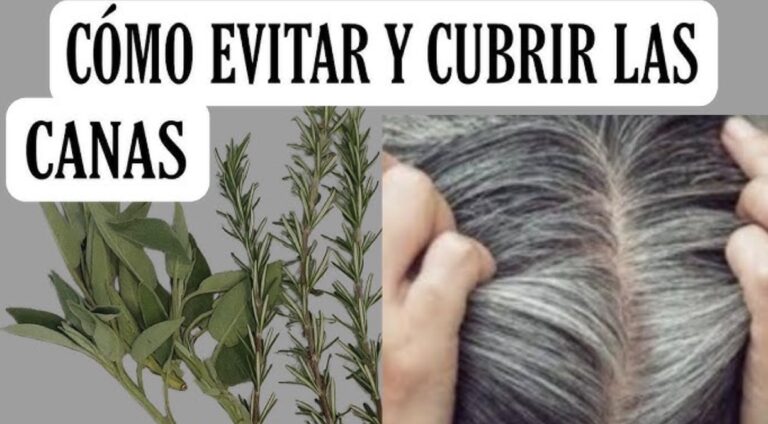 Romero y salvia para las canas: remedio natural tradicional