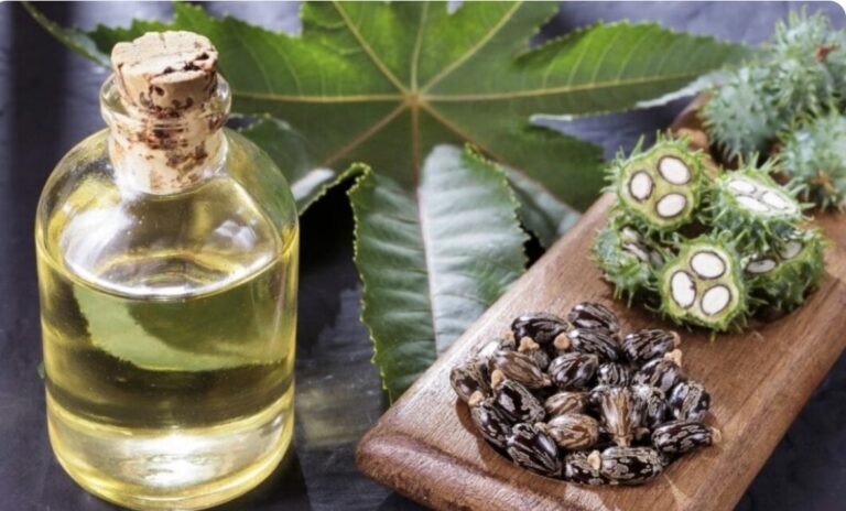 Aceite de higuereta: cómo usarlo para mejorar tu salud y transformar tu cabello